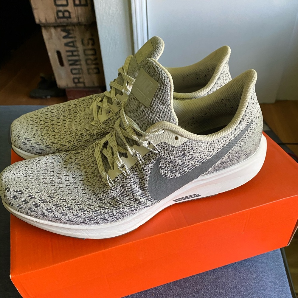 Nike Air Zoom Pegasus shoes